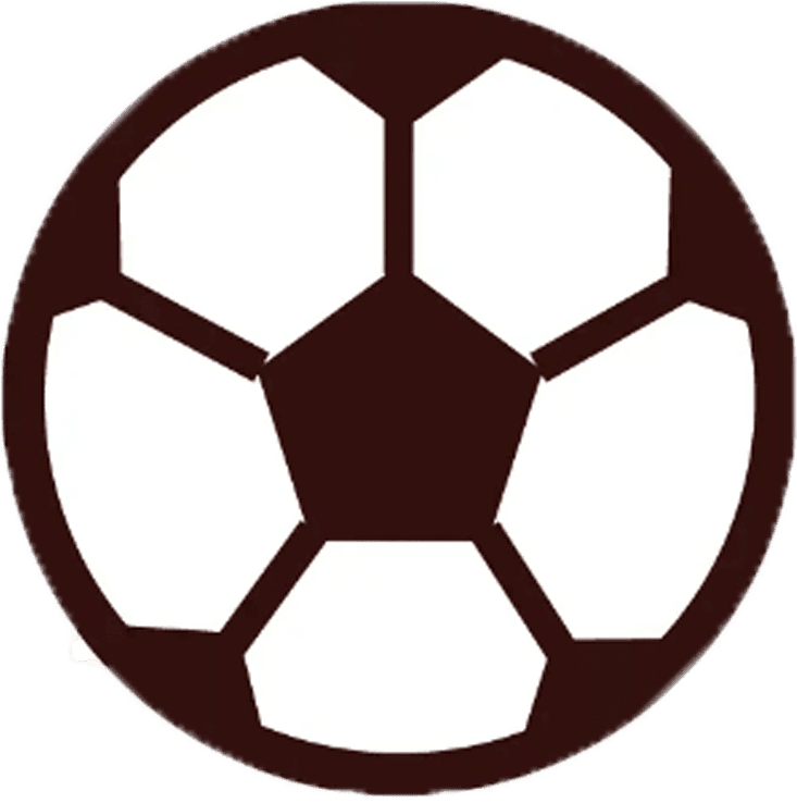 足球热身赛：托特纳姆热刺VS悉尼FC20260729