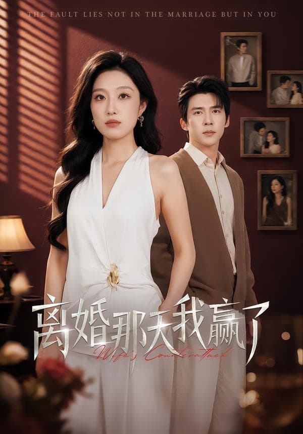 离婚那天我赢了-短剧封面