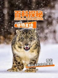 科探秘动物星球：高山上的白色精灵雪豹-综艺封面