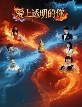 爱上透明的你-电影封面