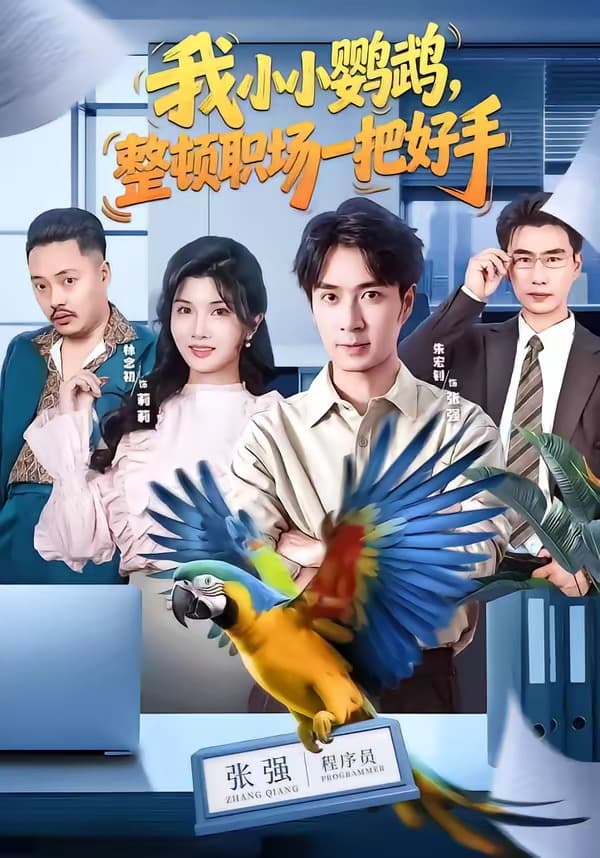 我小小鹦鹉，整顿职场一把好手-影视封面
