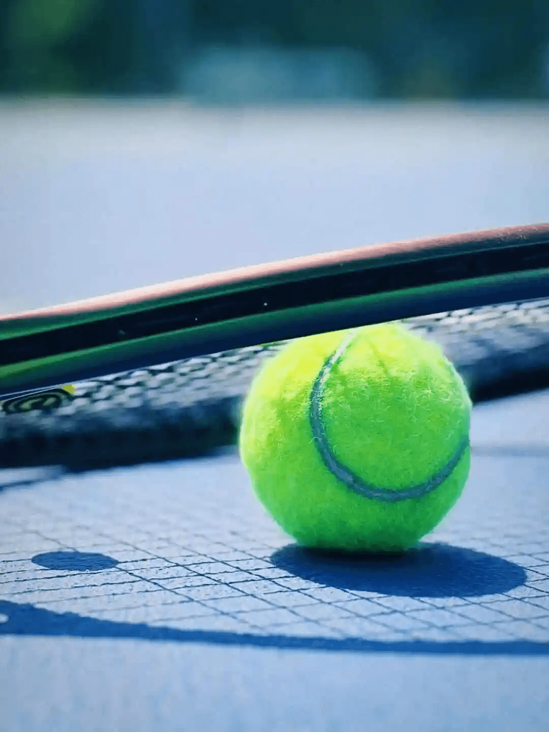 WTA500华盛顿站半决赛:佩古拉VS施耐德