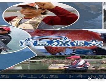 宝岛渔很大-综艺封面