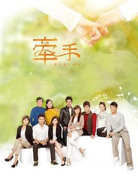 牵手2011-剧集封面