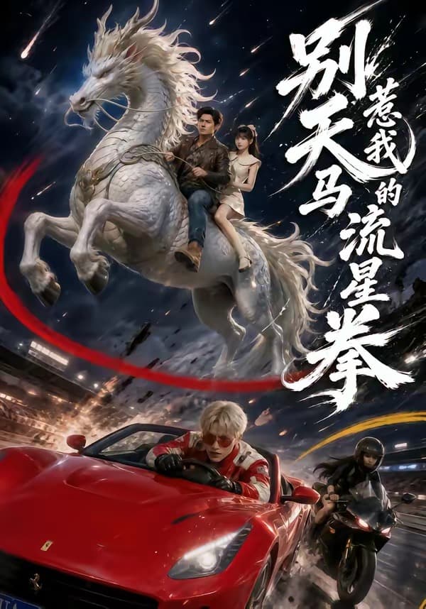 别惹我的天马流星拳-短剧封面