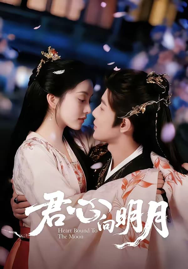 君心向明月-短剧封面