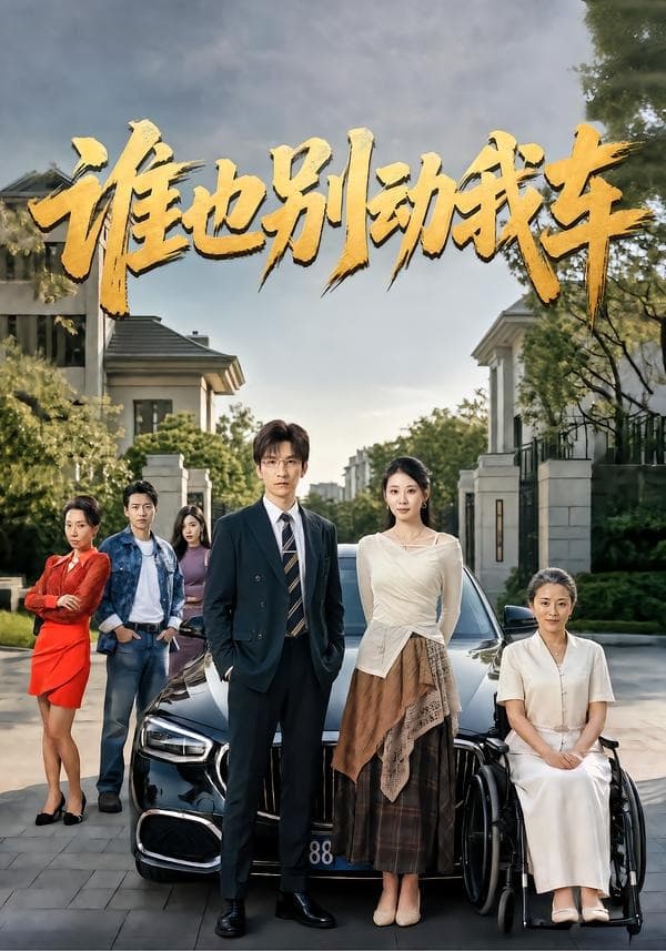 谁也别动我车-短剧封面