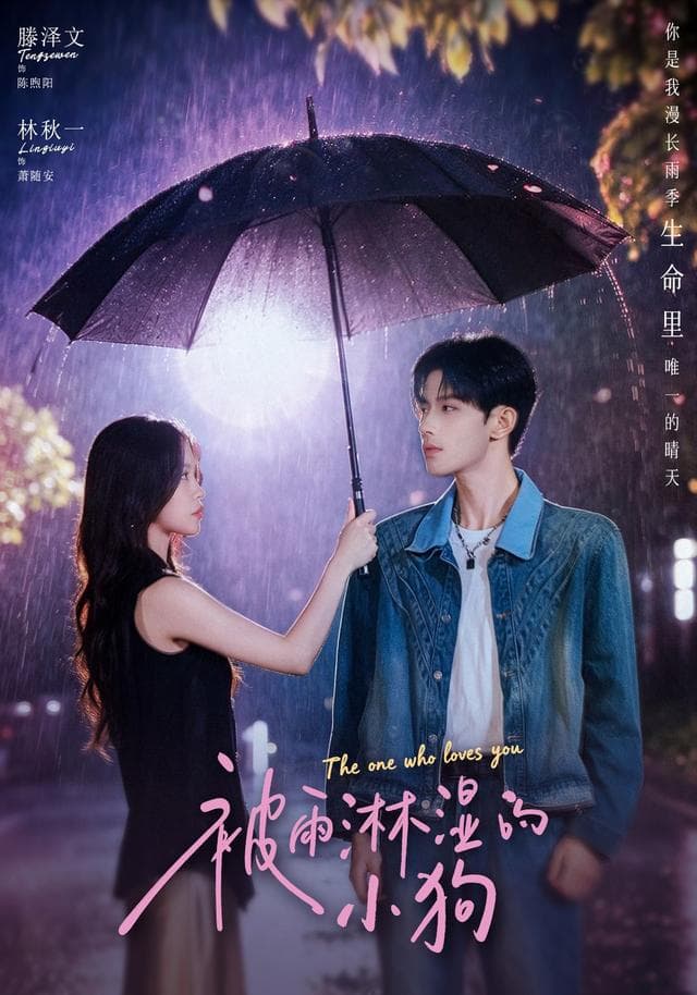 被雨淋湿的小狗-短剧封面