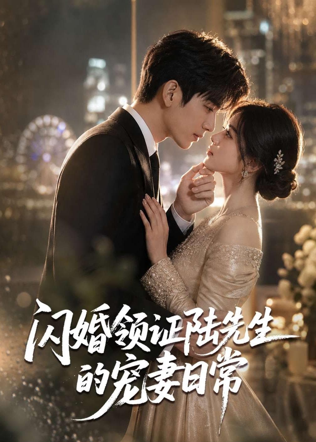 闪婚领证陆先生的宠妻日常-剧集封面