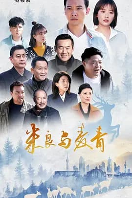 米良与麦青-剧集封面