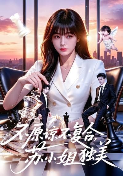 不原谅不复合，苏小姐独美-剧集封面