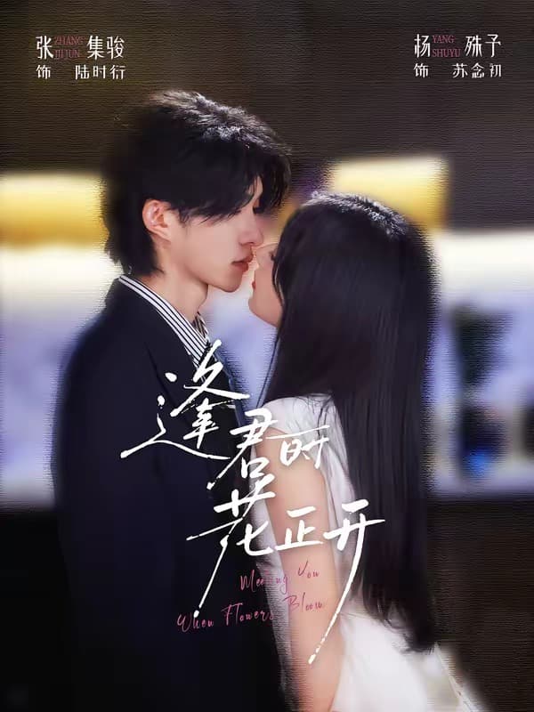 逢君时花正开-短剧封面