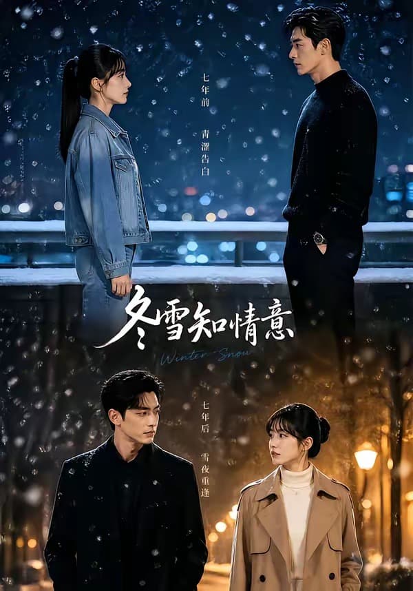 冬雪知情意-剧集封面