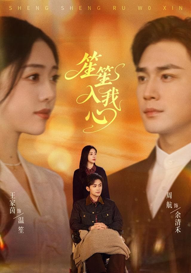笙笙入我心-短剧封面