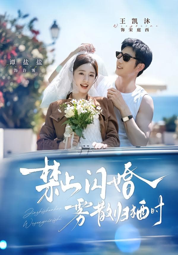 禁止闪婚，雾散归栖时-短剧封面