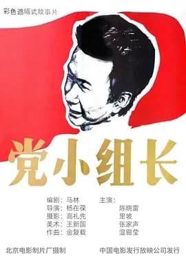 党小组长[电影解说]-电影封面
