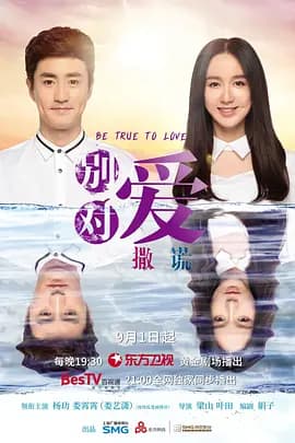请对我说谎-剧集封面