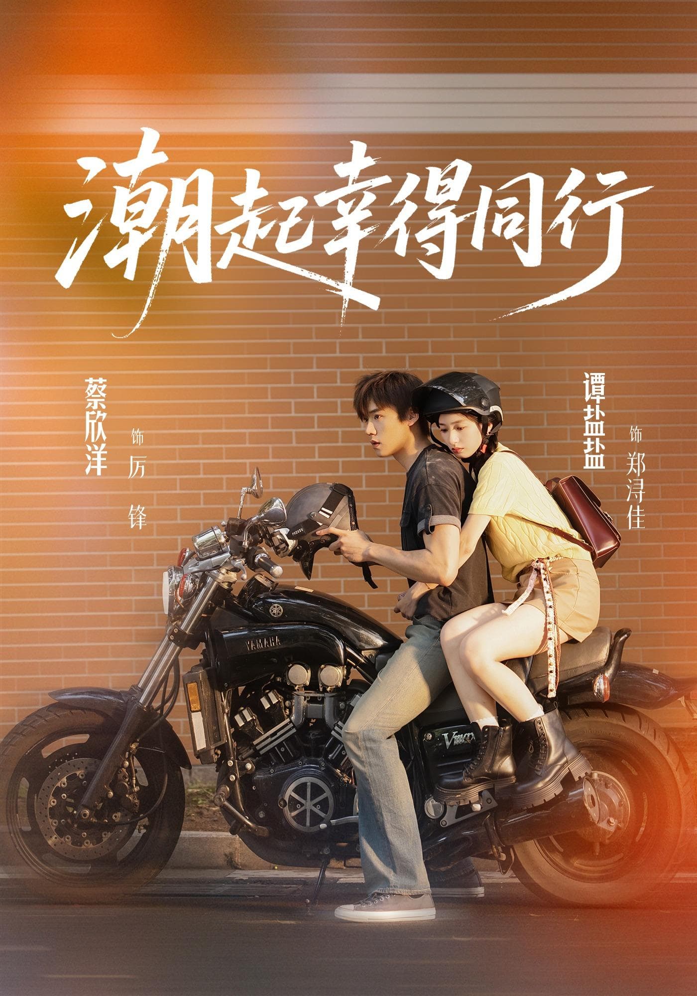 潮起幸得同行-短剧封面