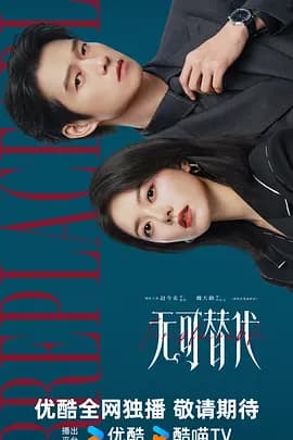 无可替代-剧集封面