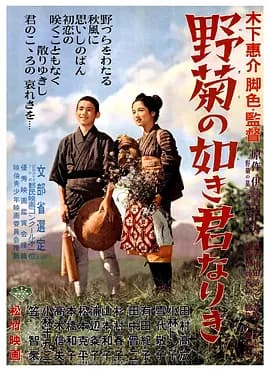 野菊之墓1955[电影解说]-电影封面