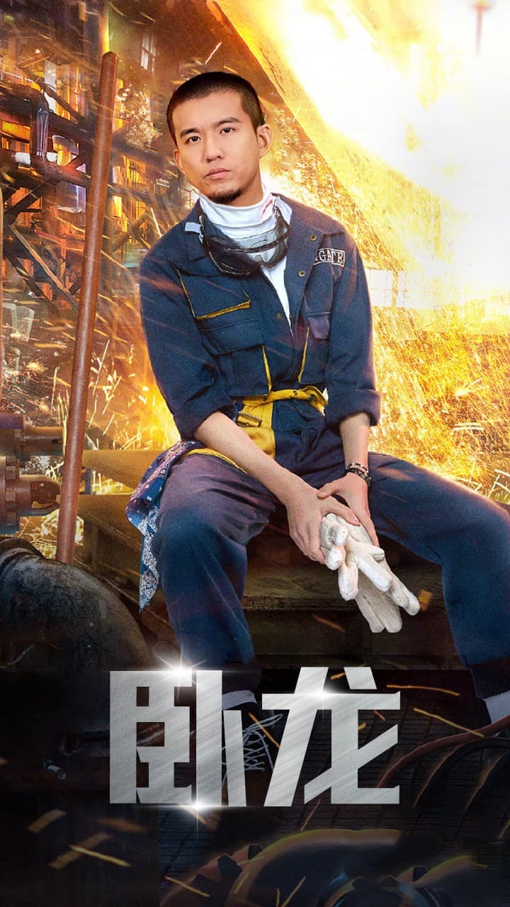 卧龙-影视封面