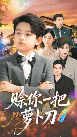 赊你一把萝卜刀-影视封面