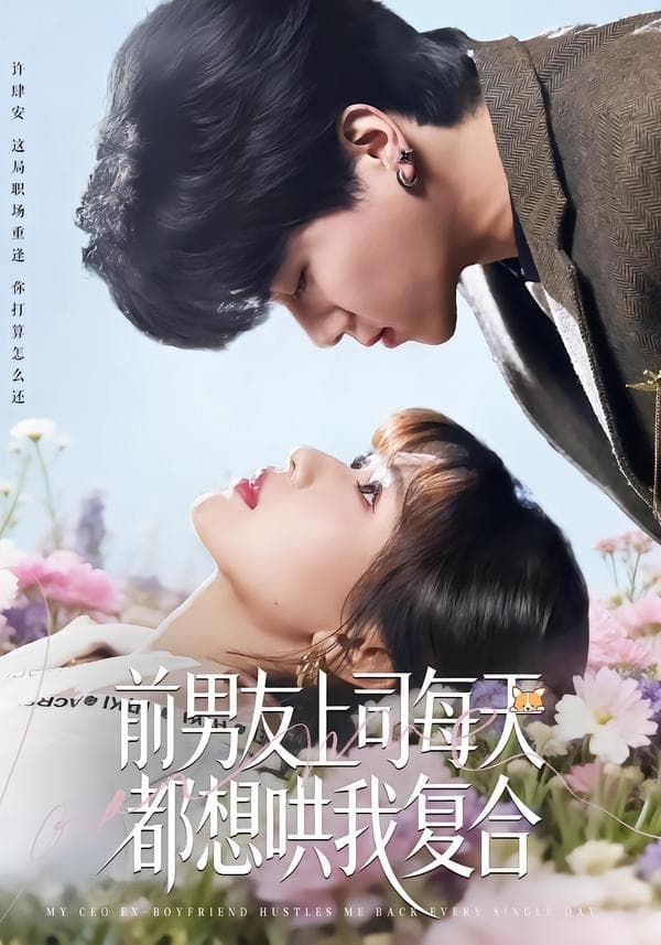 前男友上司每天都想哄我复合-短剧封面