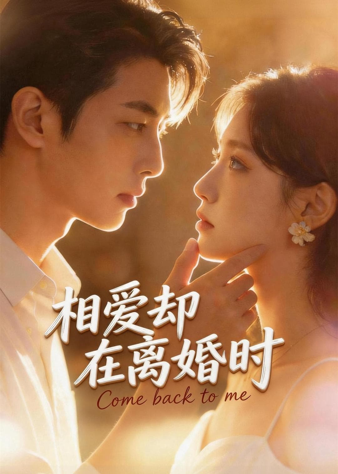 相爱却在离婚时-剧集封面