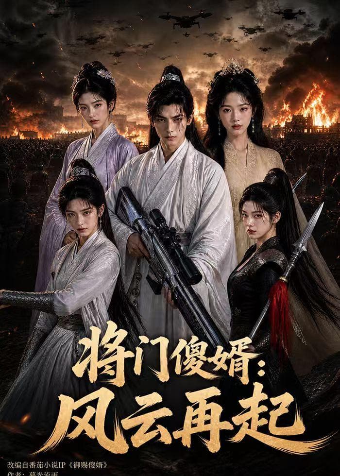 将门傻婿：风云再起-剧集封面