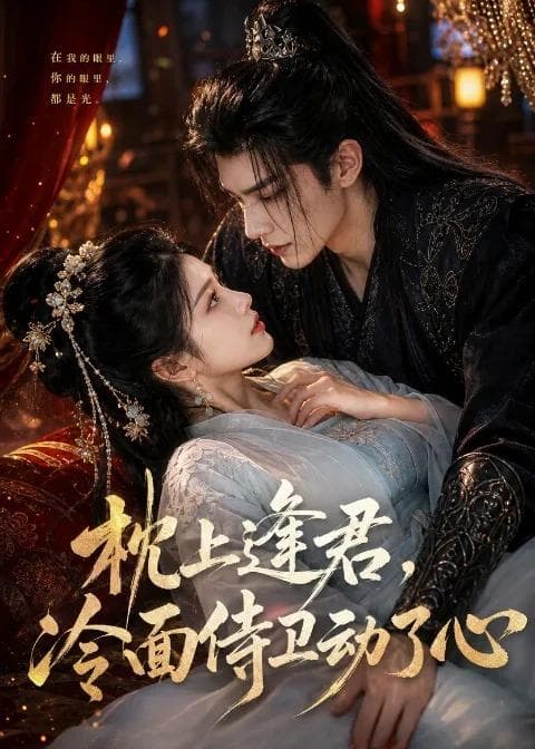 枕上逢君，冷面侍卫动了心-剧集封面