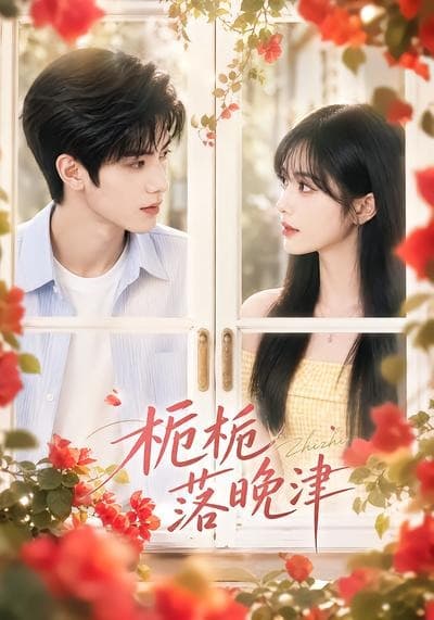栀栀落晚津-剧集封面