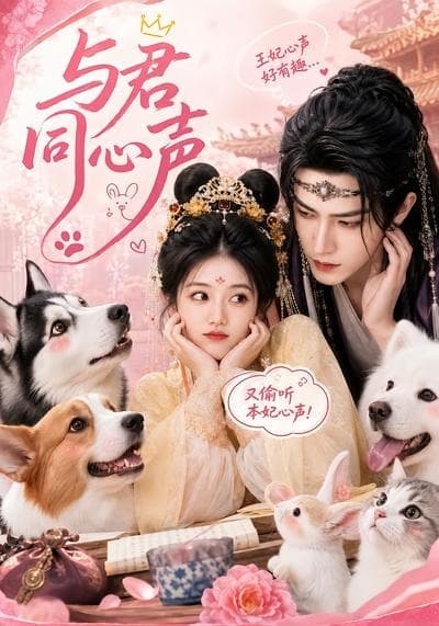 与君同心声-剧集封面
