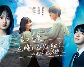 要再做一次夫妇吗？～伪装夫妇～-剧集封面