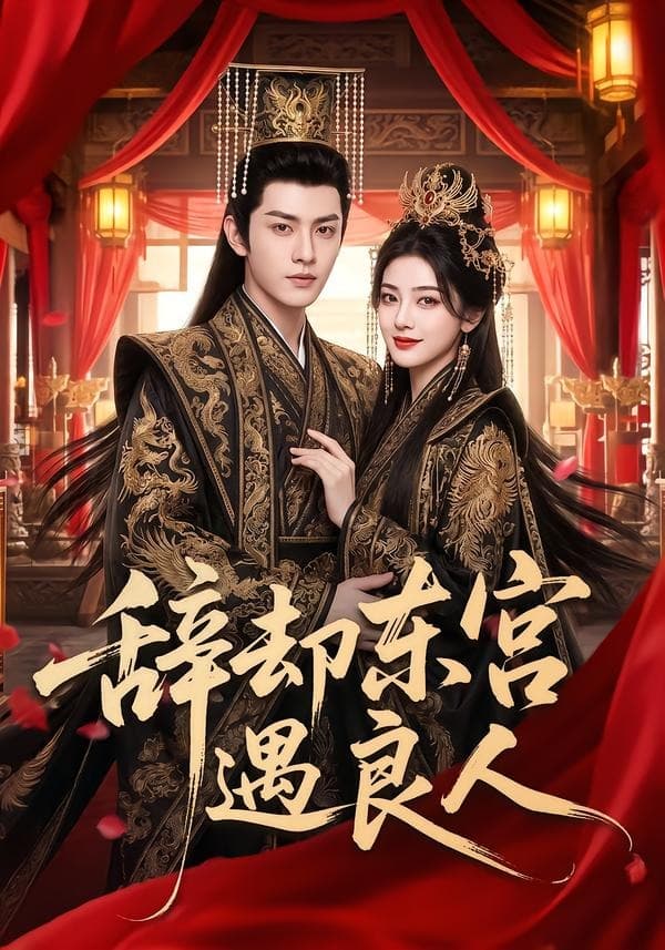 辞却东宫遇良人-剧集封面