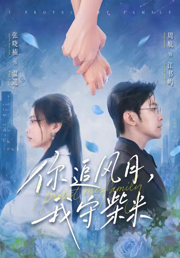 你追风月，我守柴米-剧集封面