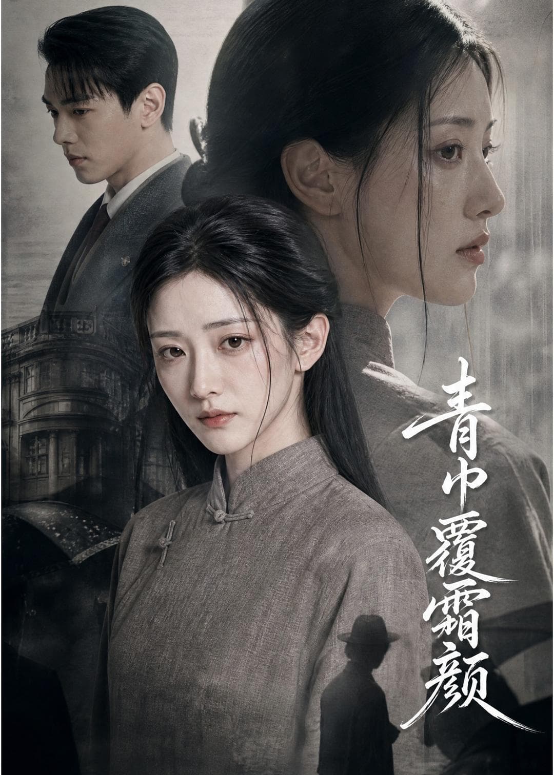 青巾覆霜颜-剧集封面