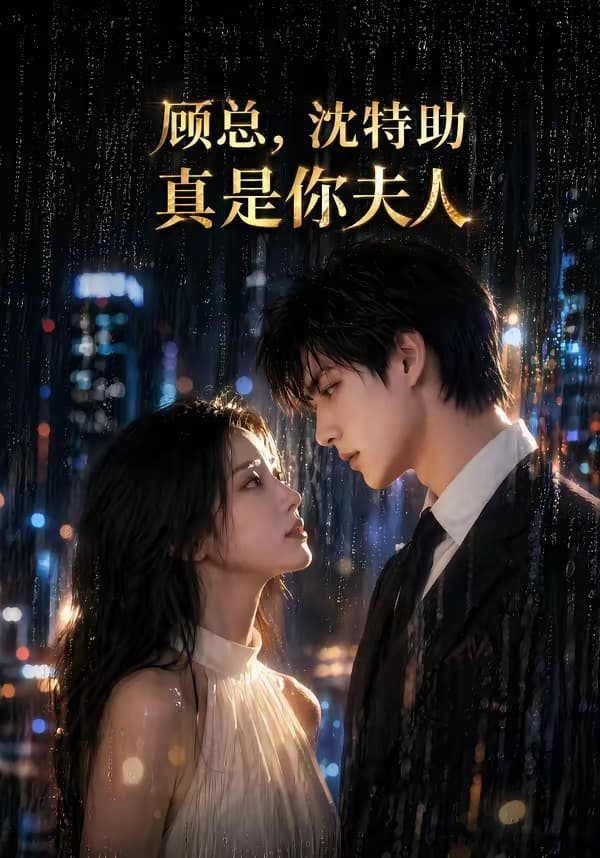 顾总，沈特助真是你夫人-剧集封面