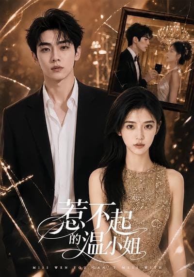 惹不起的温小姐-剧集封面