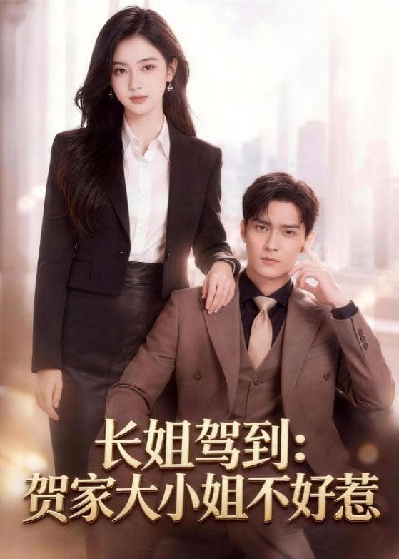 长姐驾到：贺家大小姐不好惹-剧集封面