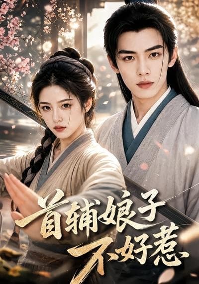 首辅娘子不好惹-剧集封面