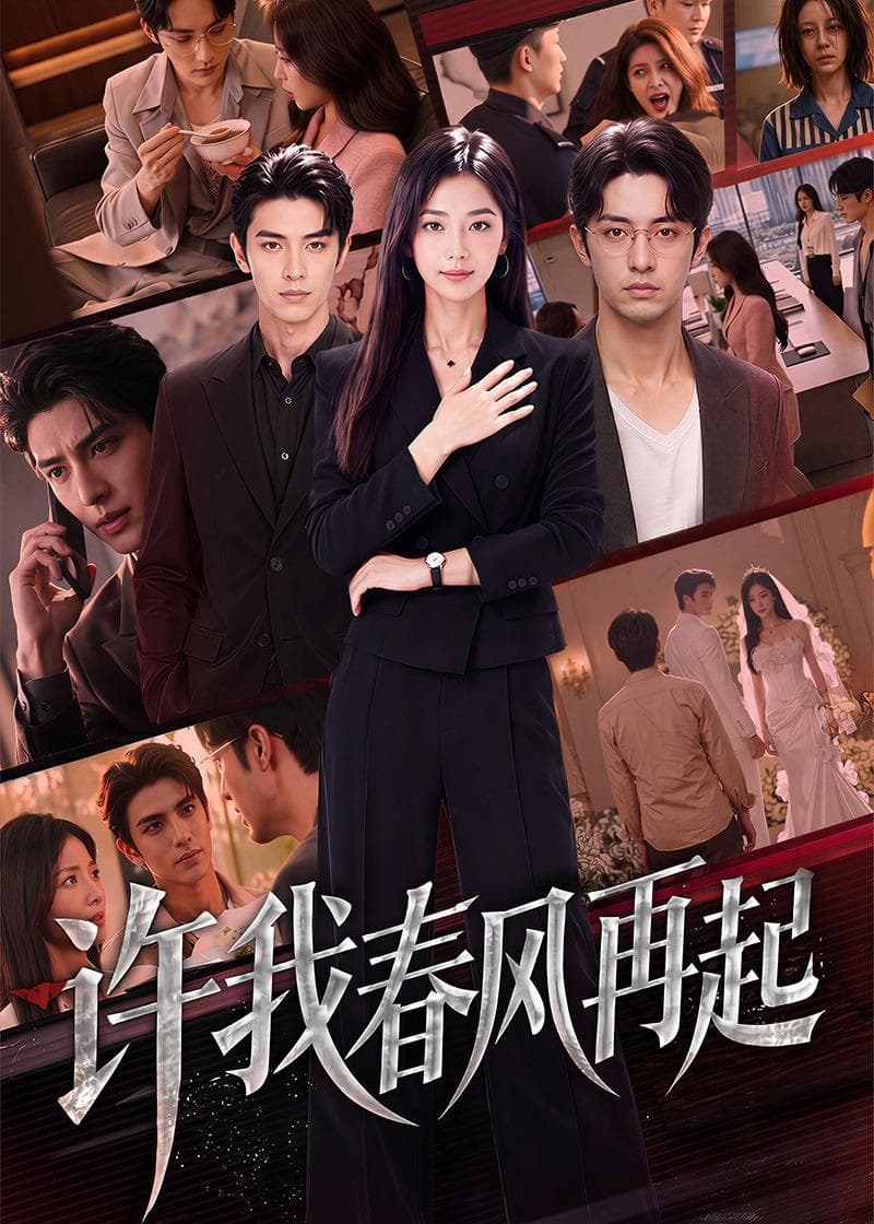 许我春风再起-剧集封面