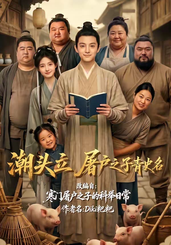潮头立，屠户之子青史名-剧集封面