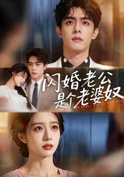 闪婚老公是个老婆奴-剧集封面