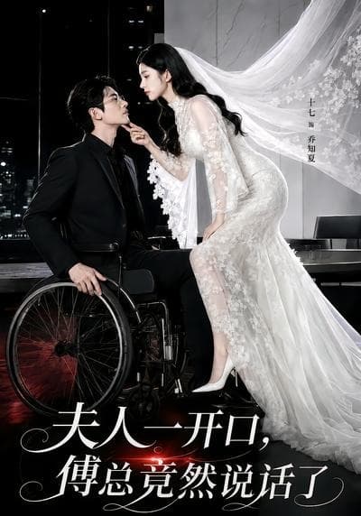 夫人一开口，傅总竟然说话了-剧集封面