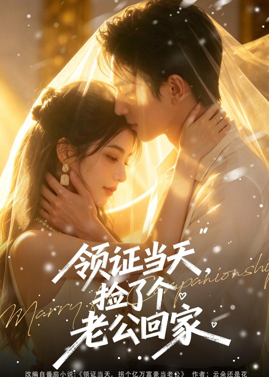 领证当天，捡了个老公回家-剧集封面