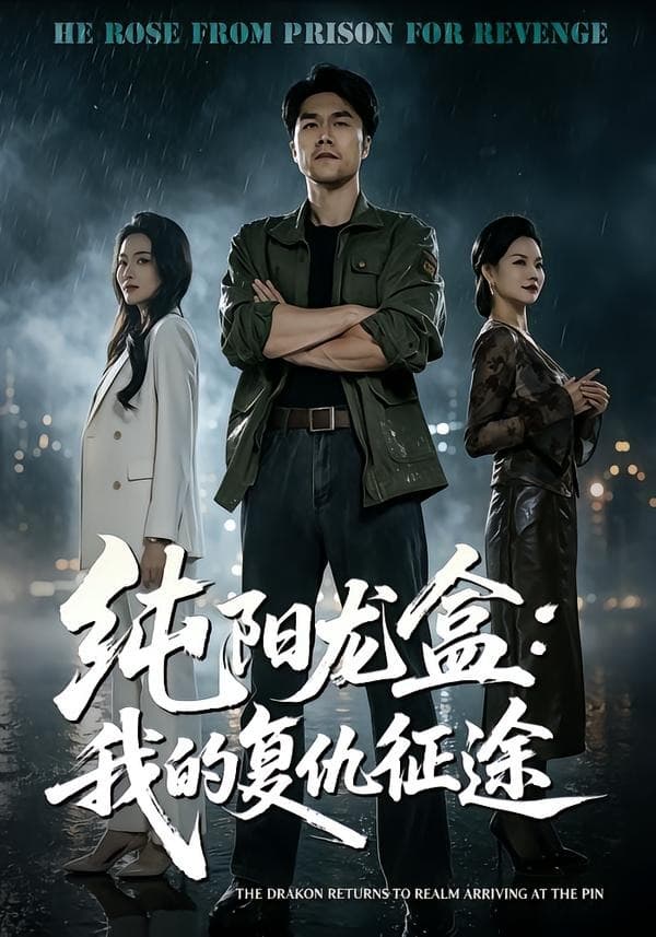 纯阳龙盒：我的复仇征途-短剧封面