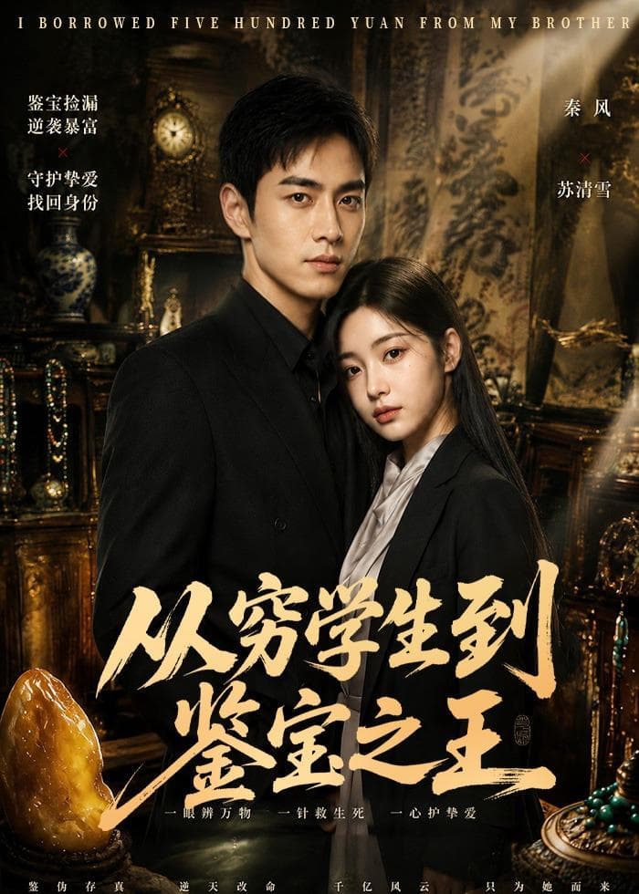 从穷学生到鉴宝之王-剧集封面