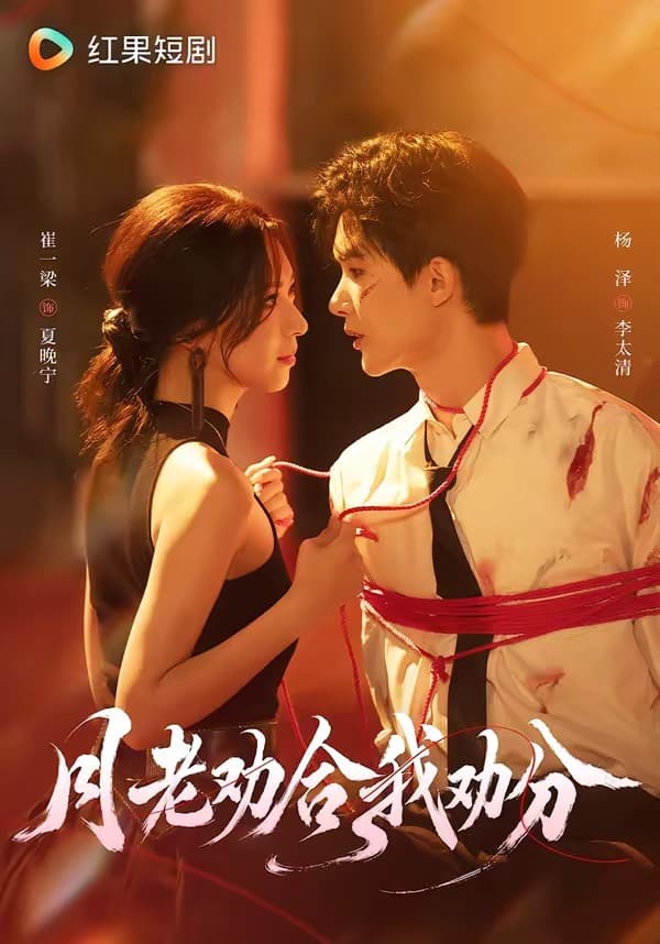 月老劝合我劝分-短剧封面