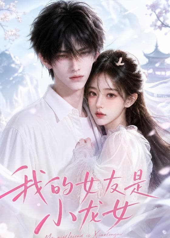 我的女友是小龙女-剧集封面