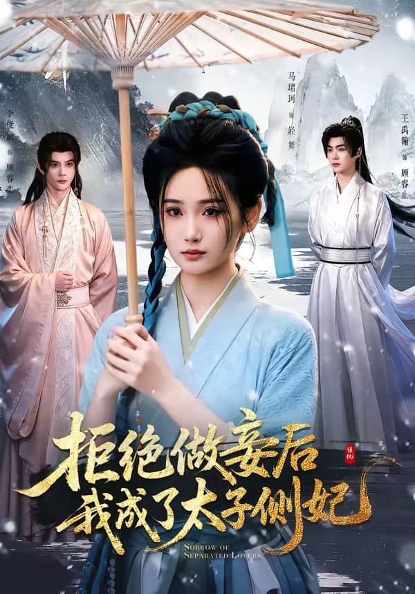 拒绝做妾后我成了太子侧妃-短剧封面